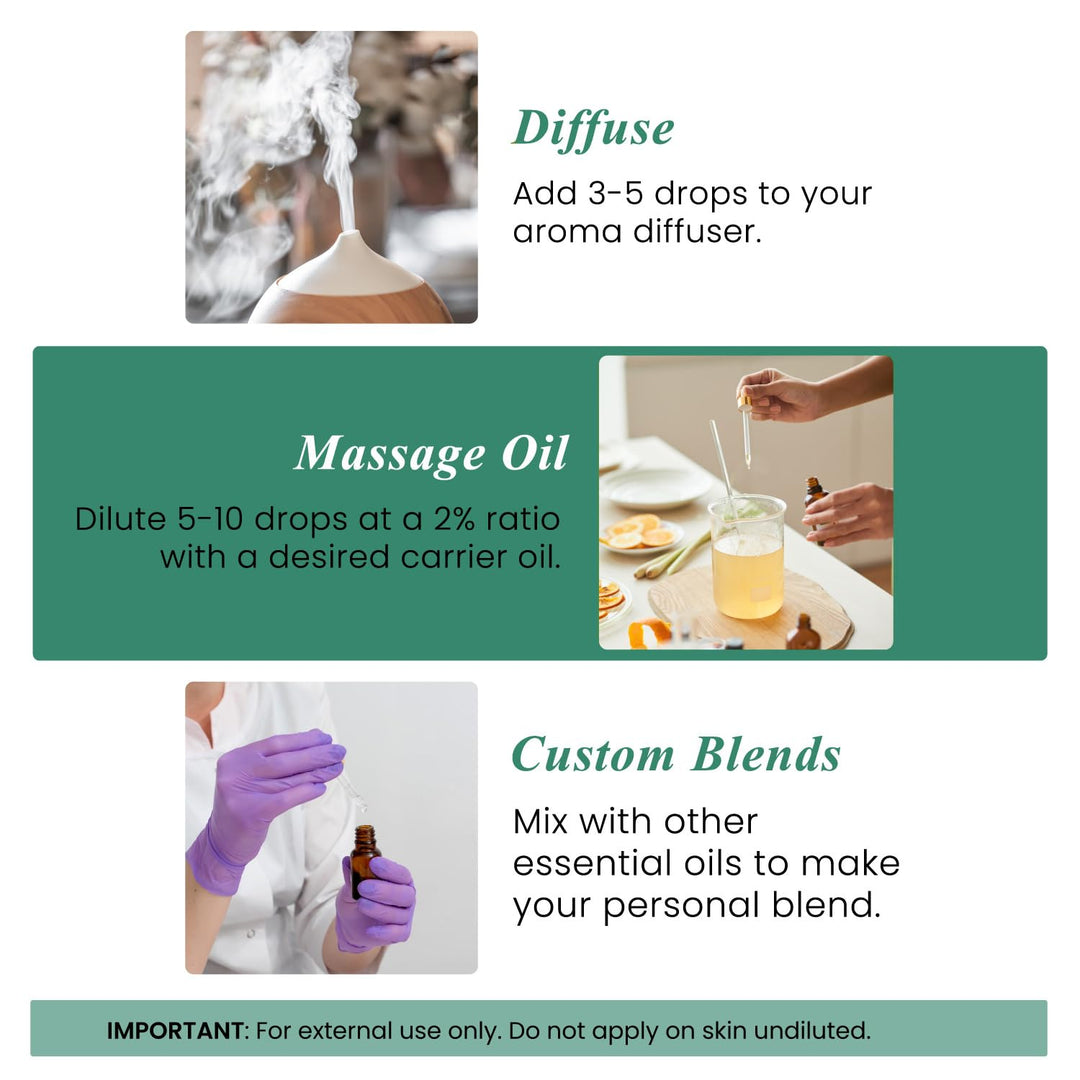 Handcraft Blends Eucalyptus Essential Oil, 4 fl oz