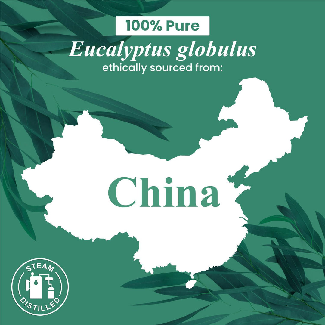 Handcraft Blends Eucalyptus Essential Oil, 4 fl oz