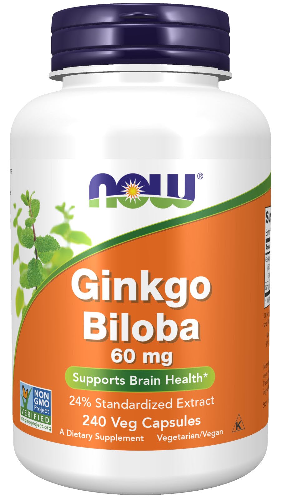 NOW Ginkgo Biloba 60 mg, 240 Count