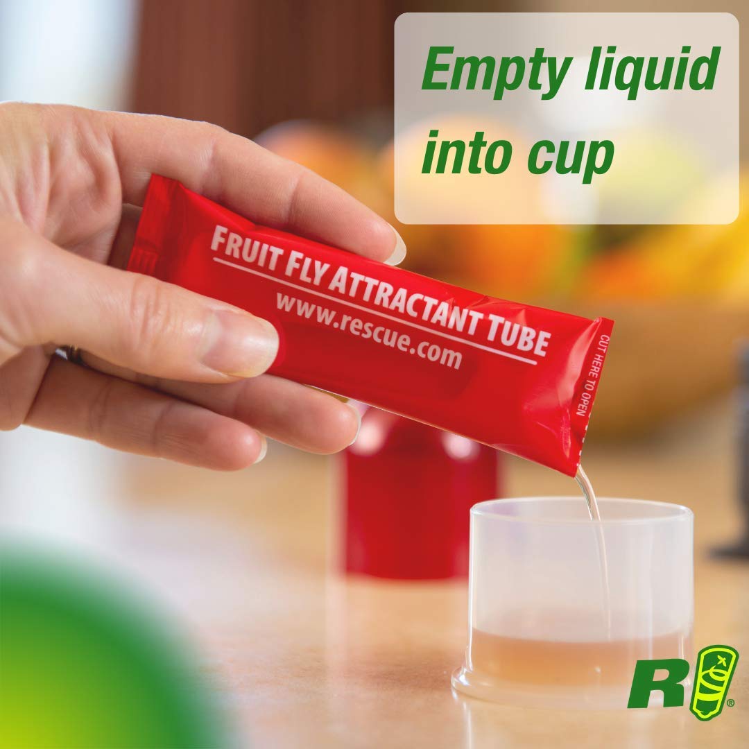 RESCUE Fruit Fly Lure Trap, Pack of 2