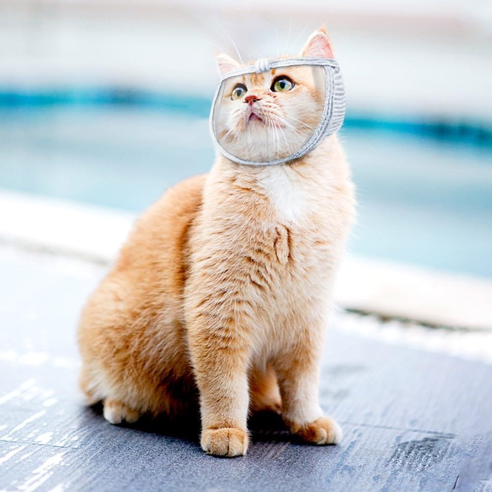 MiOYOOW Cat Muzzle, Transparent