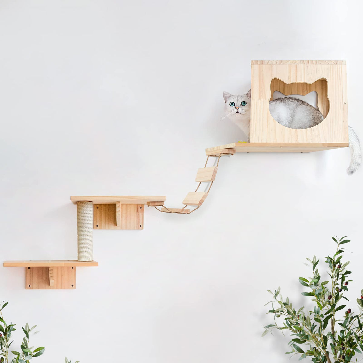 Pet Supplies