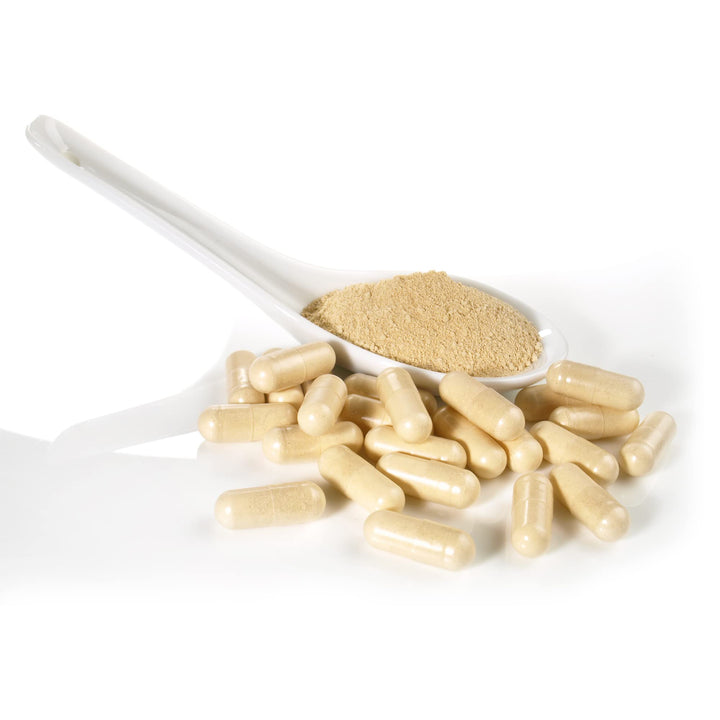 Dairyland Management LLC Tienchi Ginseng Capsules, 500 mg, 75 Count