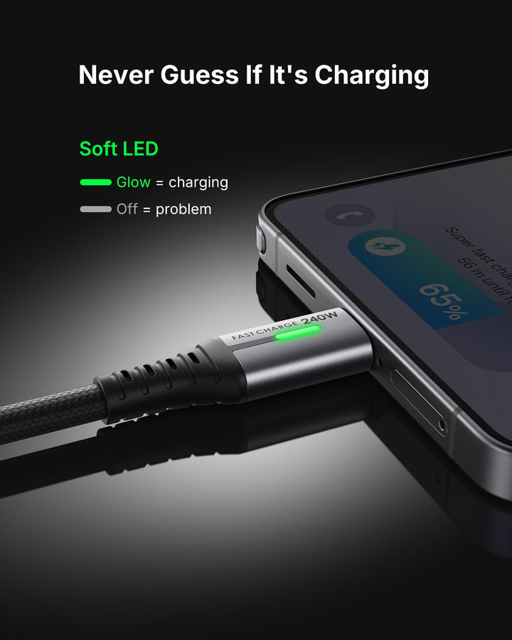 INIU USB C to USB C Cable, 6.6 ft, 2 Pack