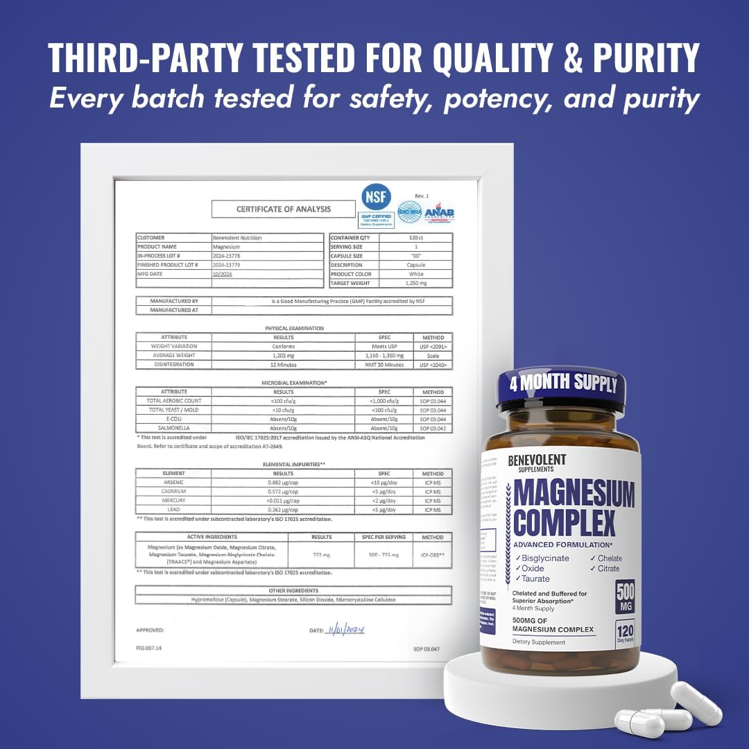 Benevolent Nourishment Magnesium Complex Supplement, 500 mg, 120 Count