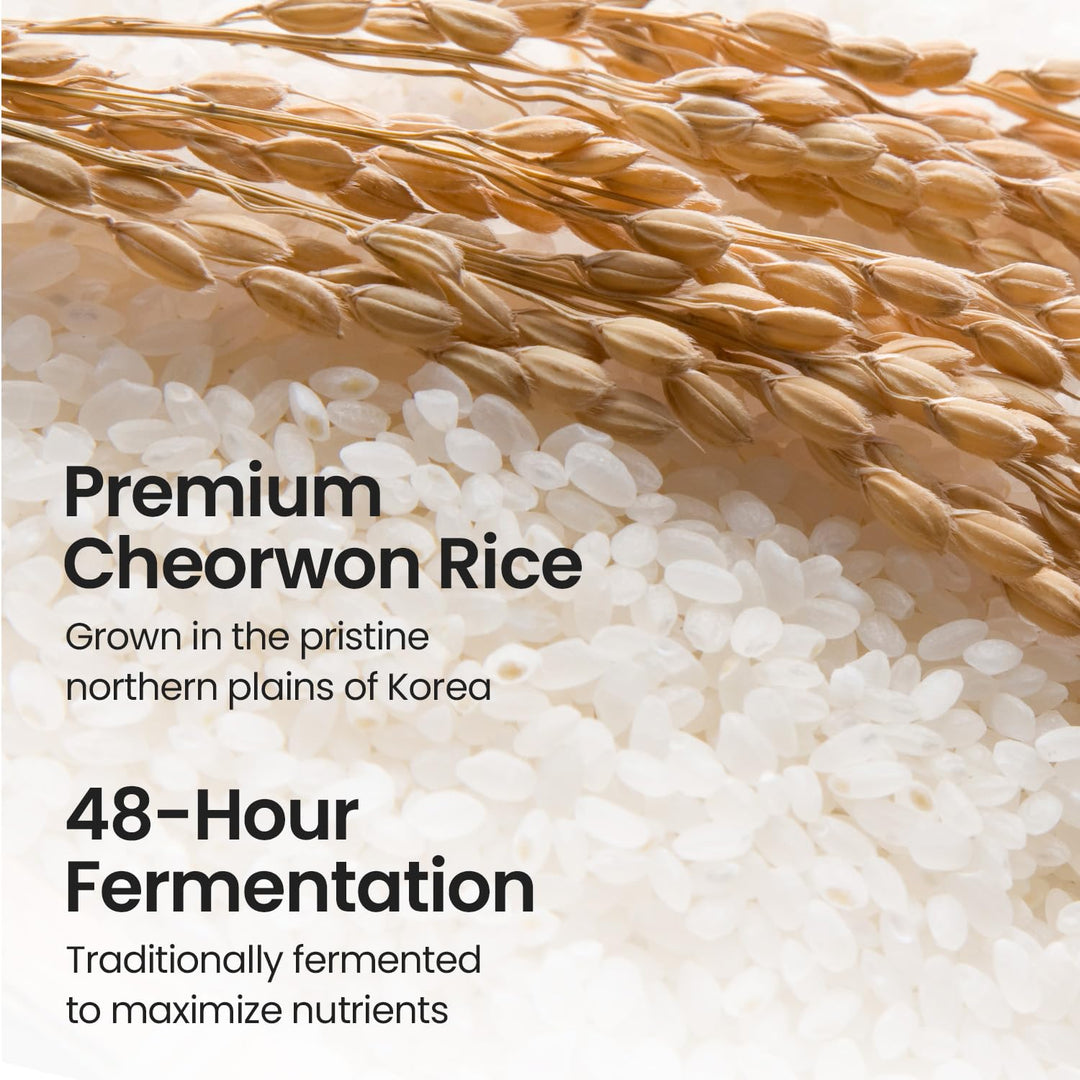 Skinfood Rice Mask Wash Off, 100 g