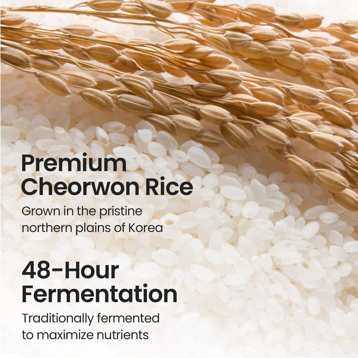 Skinfood Rice Mask Wash Off, 100 g