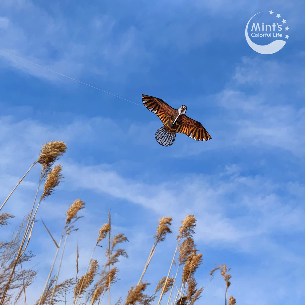 Mint's Colorful Life Eagle Kite, 60 in