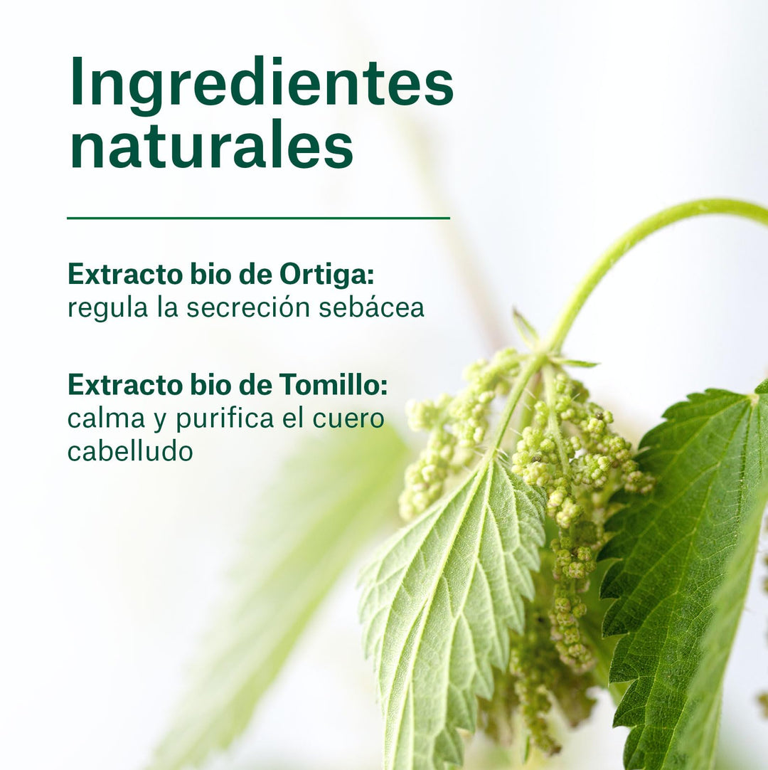 NaturVital Bio Ecocert Shampoo, Oily Hair, 300 ml