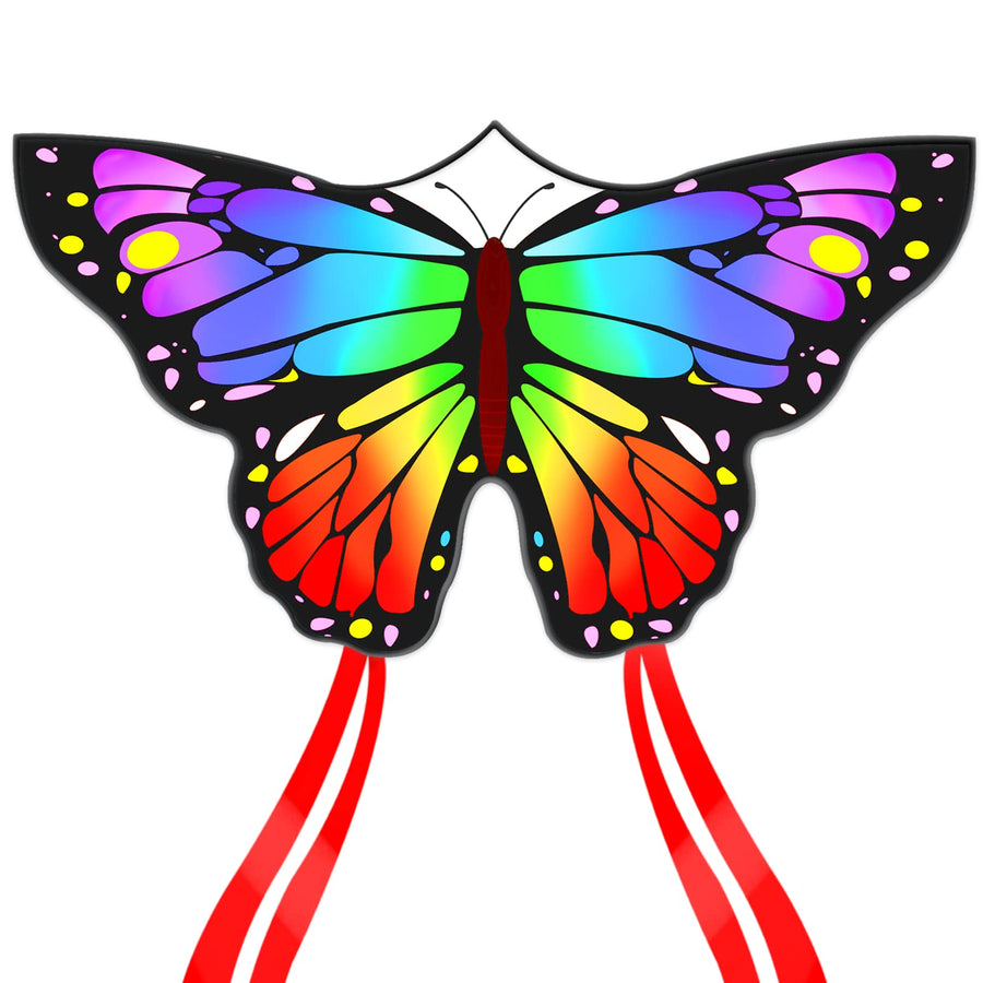 Kaiciuss Butterfly Kite, Large, Single Line
