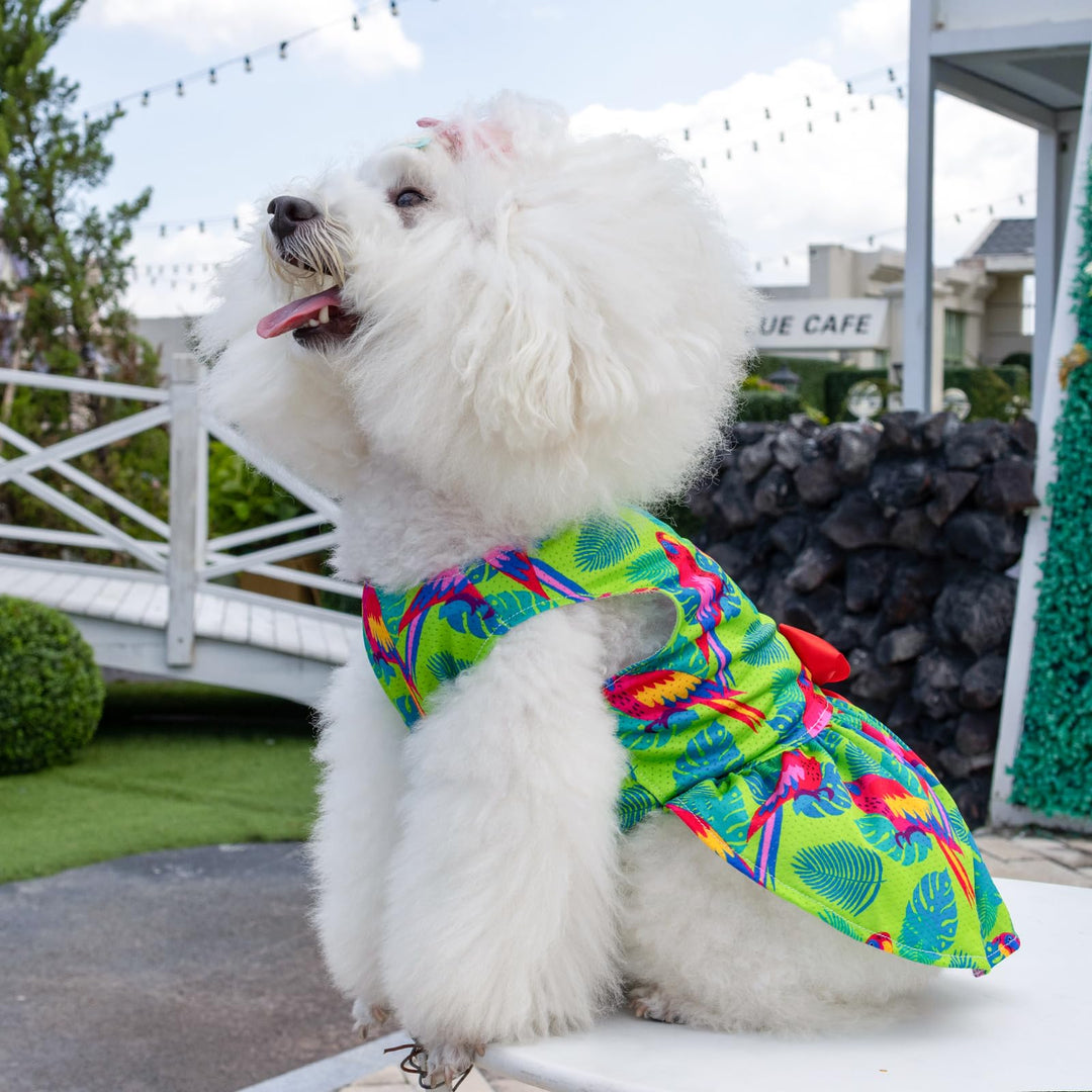 CuteBone Dog Dress, Jungle Series, XS