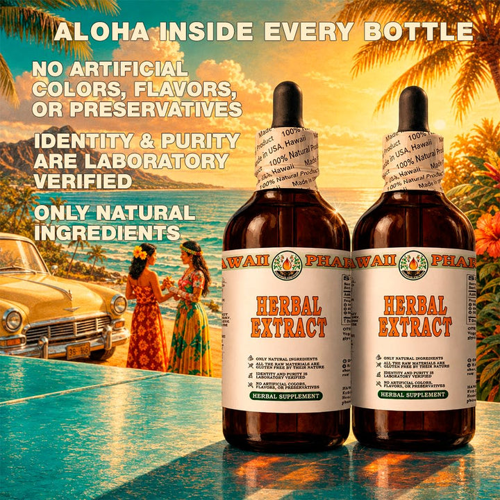 HawaiiPharm Corn Silk Alcohol-Free Liquid Extract, Organic, 2 fl oz