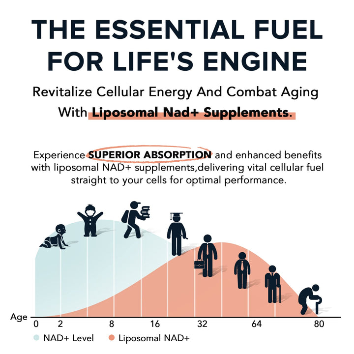 Fabamax Liposomal NAD Supplement, 1600 mg, 120 Count