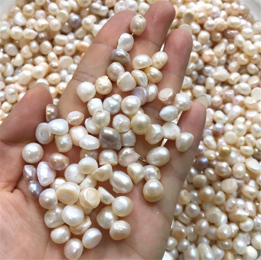 AITELEI Freshwater Pearl Oysters, 100 g
