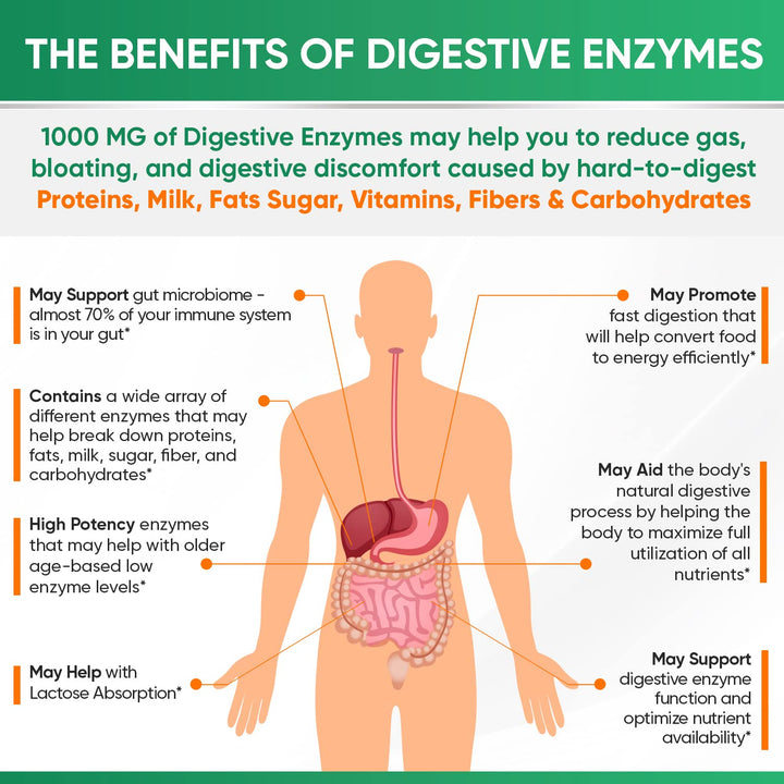 Wholesome Wellness Digestive Enzymes, 1000 mg, 180 Count