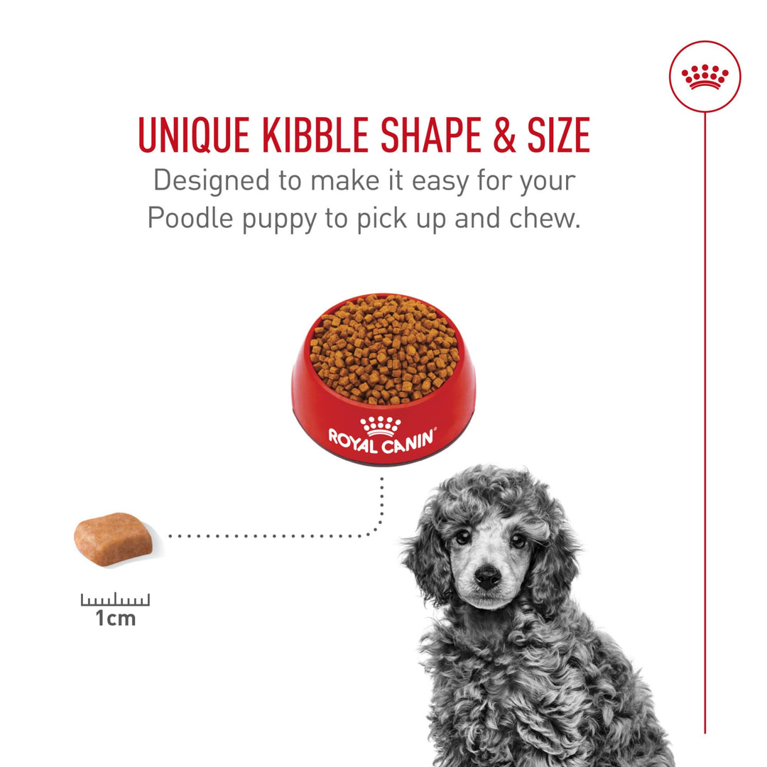ROYAL CANIN Poodle Puppy Dry Dog Food, 2.5 lb