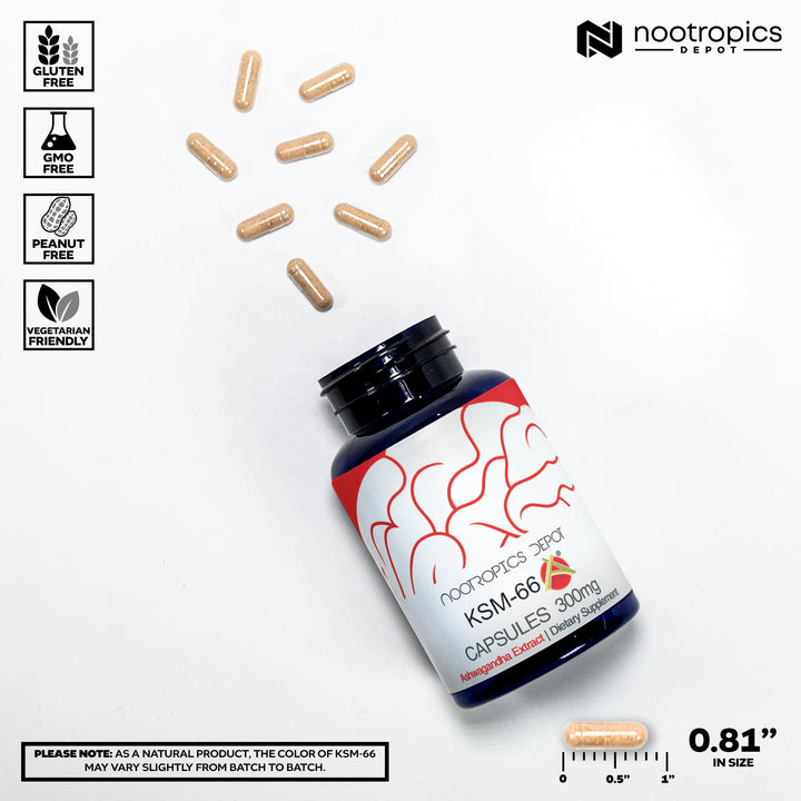 Nootropics Depot KSM-66 Ashwagandha Capsules, 300 mg, 90 Count