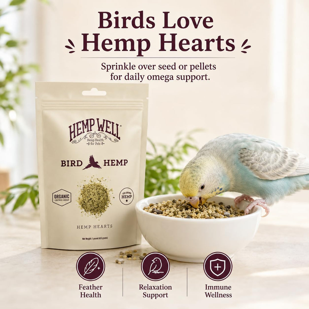 Hemp Well Organic Hemp Hearts, 1 lb