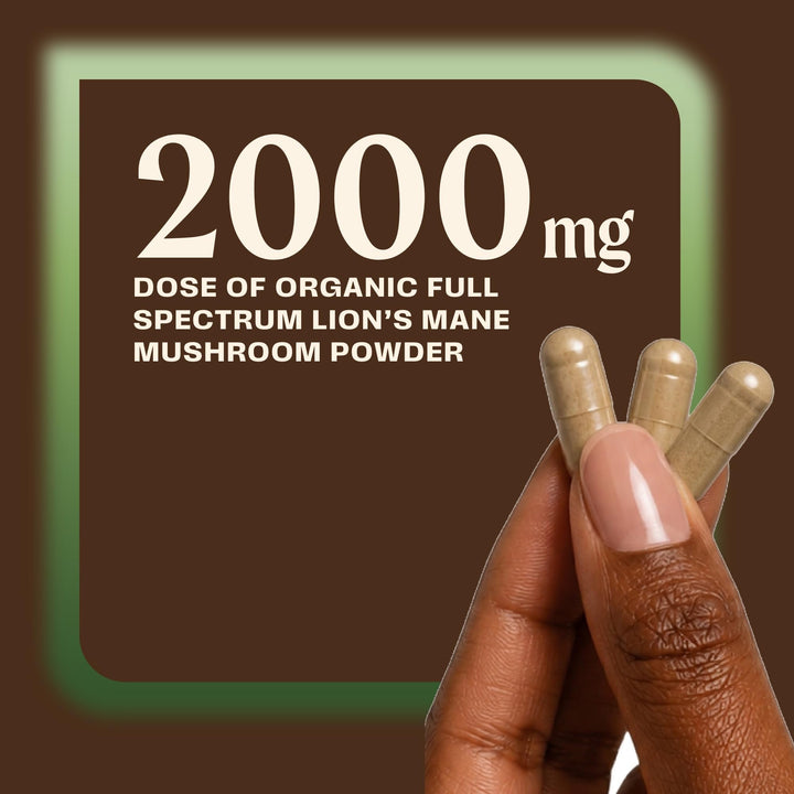 OM Mushroom Superfood Lion'S Mane Mushroom Capsules, 90 Count