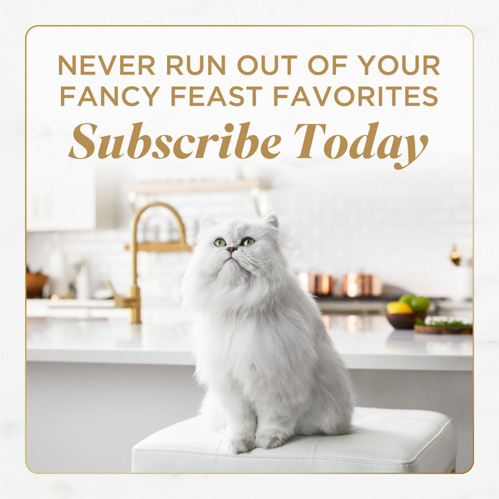 Fancy Feast Medleys Primavera Wet Cat Food, 3 oz, 24 Count