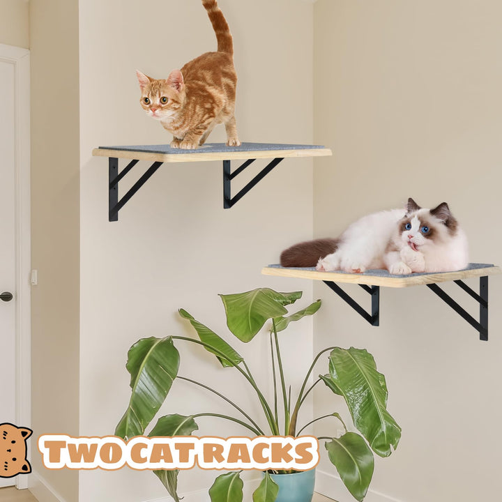 GADKE Cat Wall Shelves, Burlywood, 2 Count