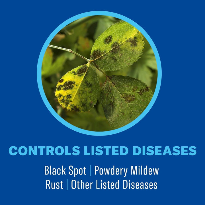 BioAdvanced 3-in-1 Insect Disease and Mite Control Ready-to-Spray, 32 oz