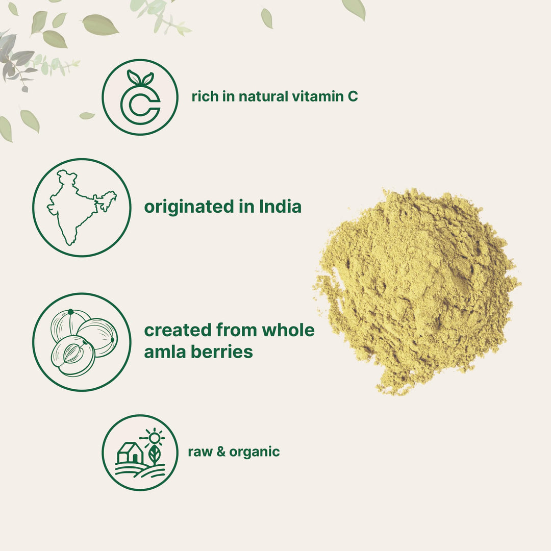 Micro Ingredients Organic Amla Powder, 1 lb