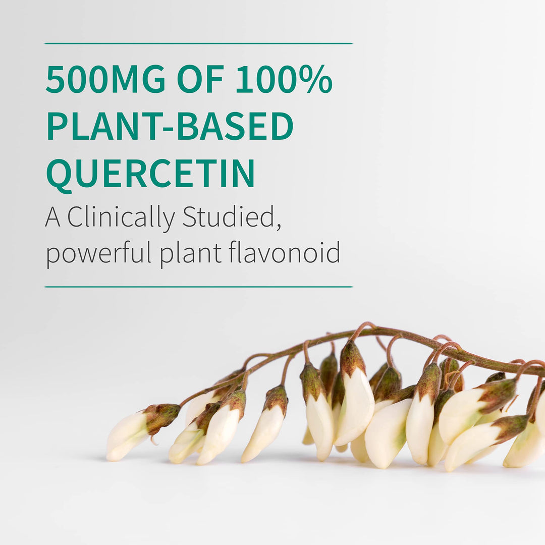 Garden of Life Dr. Formulated Quercetin Immune, 500 mg, 30 Count