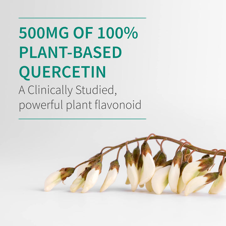 Garden of Life Dr. Formulated Quercetin Immune, 500 mg, 30 Count