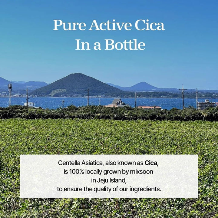 mixsoon Centella Asiatica Essence, 500 ml
