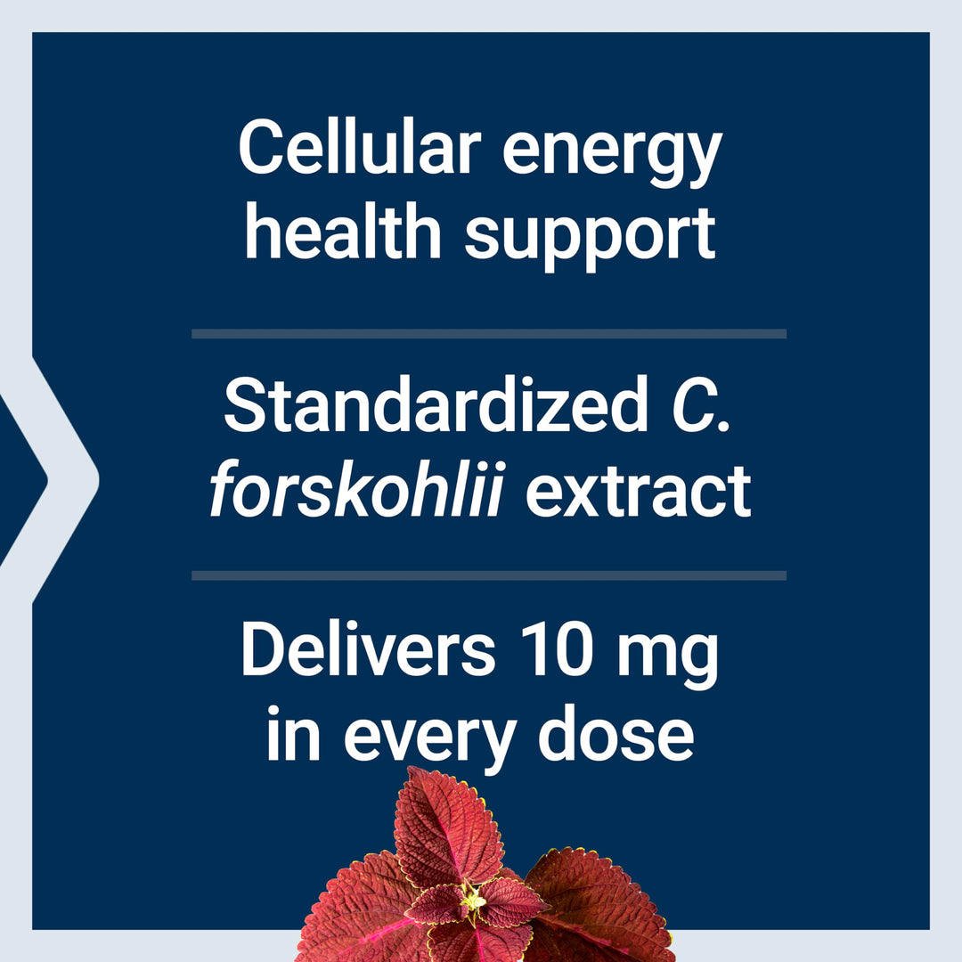 Life Extension Forskolin, 10 mg, 60 Count
