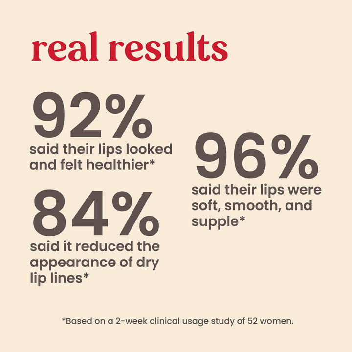 Burt's Bees Overnight Lip Treatment, 7.08 g