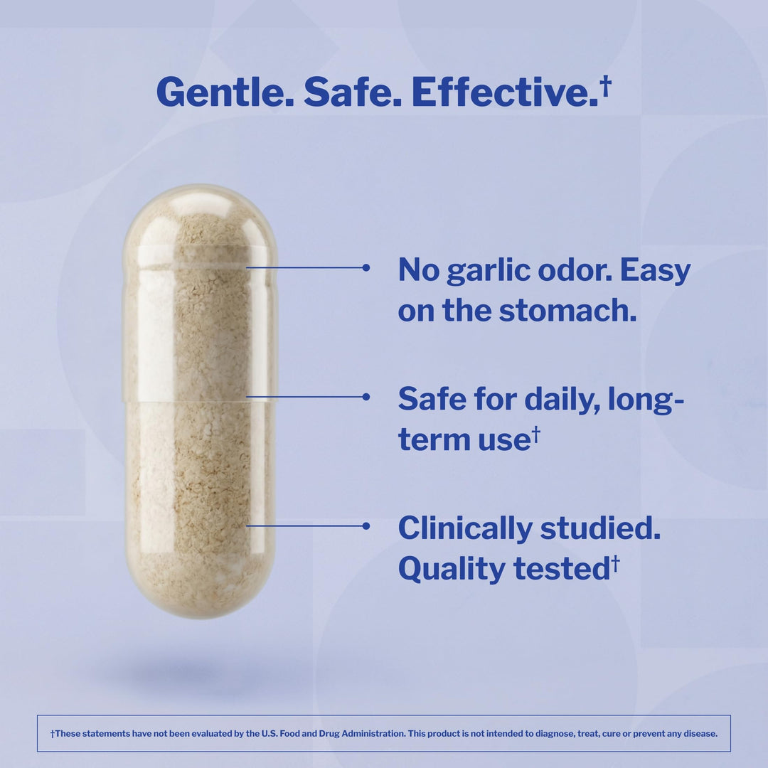 Kyolic Aged Garlic Extract Formula 109 Capsules, 240 Count