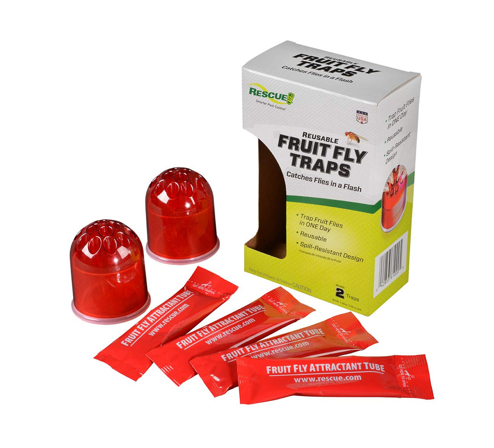RESCUE Fruit Fly Lure Trap, Pack of 2