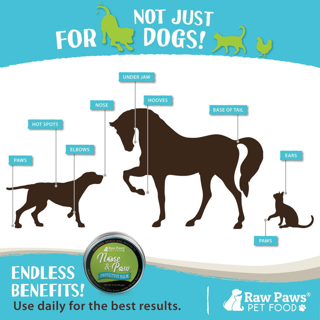 Raw Paws Dog Nose Balm and Paw Butter, 4 oz