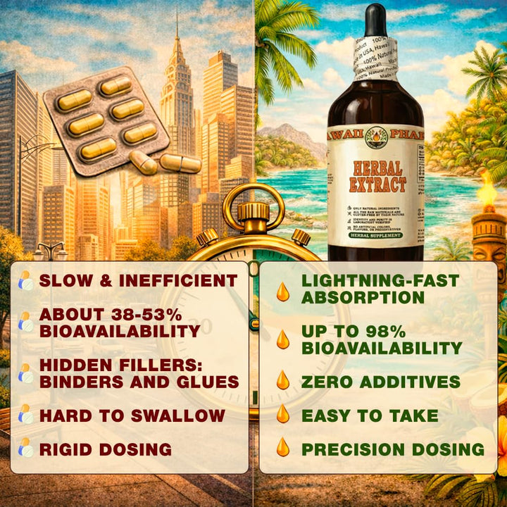 Hawaii Pharm Horsetail Alcohol-Free Liquid Extract, Organic, 4 oz