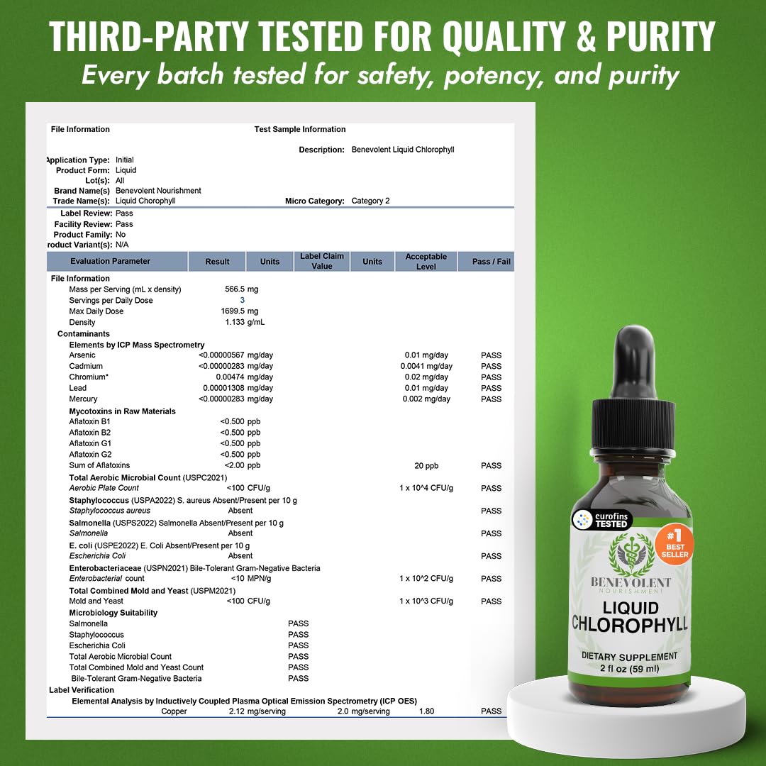 Benevolent Nourishment Chlorophyll Liquid Drops, Peppermint