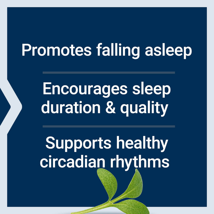 Life Extension Quiet Sleep Melatonin Capsules, 5 mg, 60 Count