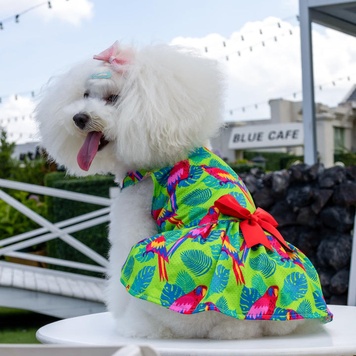 CuteBone Dog Dress, Jungle Series, XS