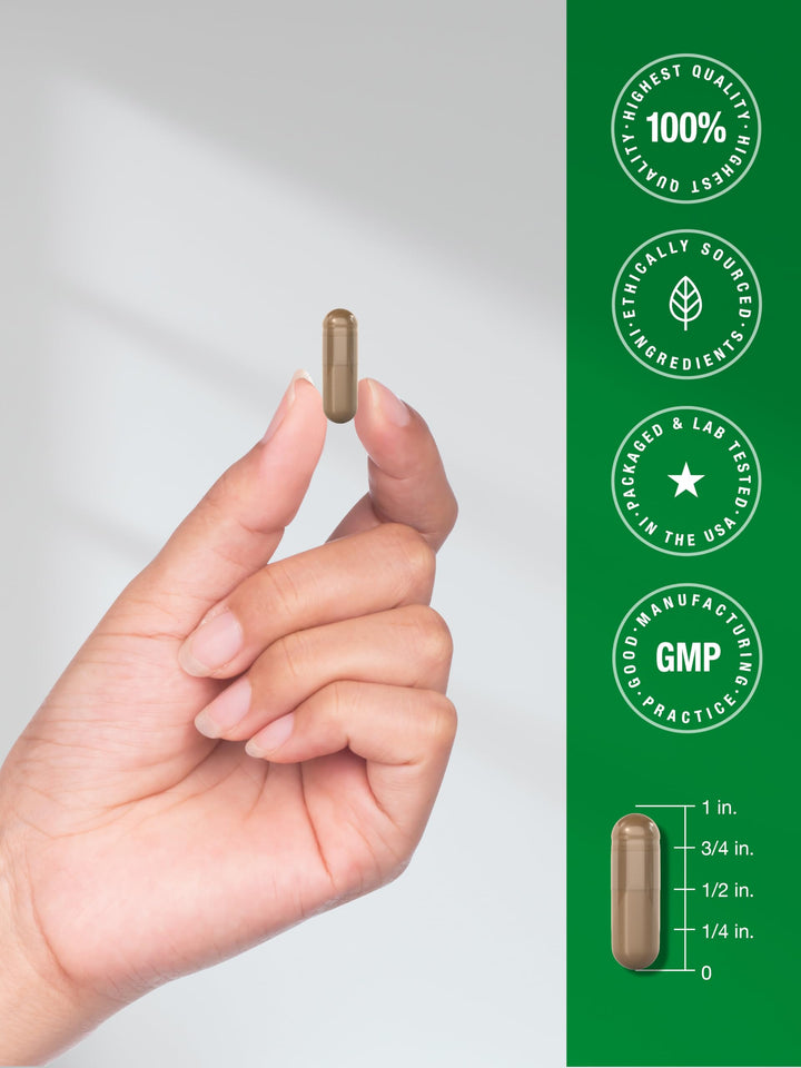 Horbäach Graviola Capsules, 120 Count