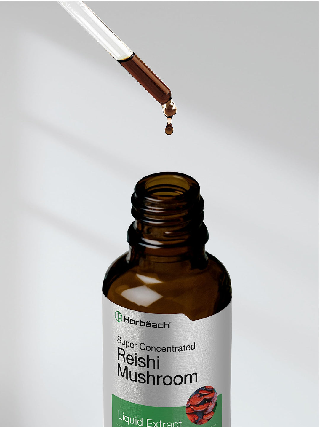 Horbäach Reishi Mushroom Extract Tincture, 2 fl oz