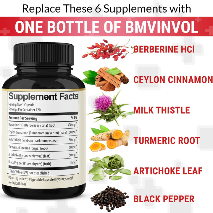 BMVINVOL 6 in 1 Berberine Supplement With Ceylon Cinnamon, Turmeric Root, Milk Thistle, Artichoke And Black Pepper, 120 Count