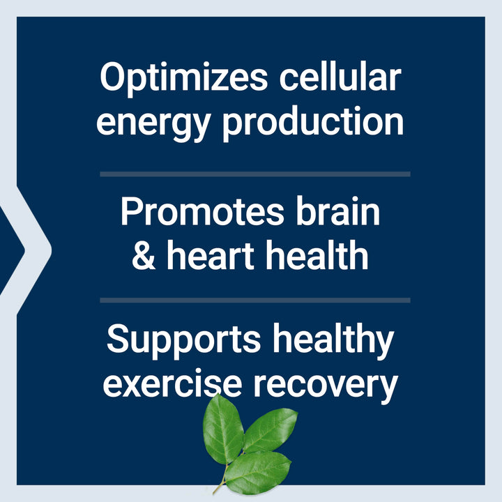 Life Extension Optimized Carnitine, 60 Count