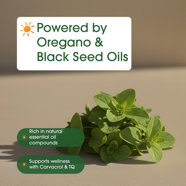 NatureBell Oil of Oregano With Black Seed Oil Softgels, 360 Count