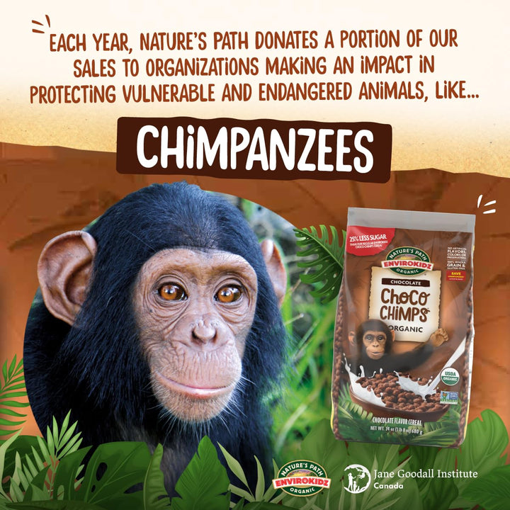 EnviroKidz Organic Chocolate Choco Chimps Cereal, 10 oz