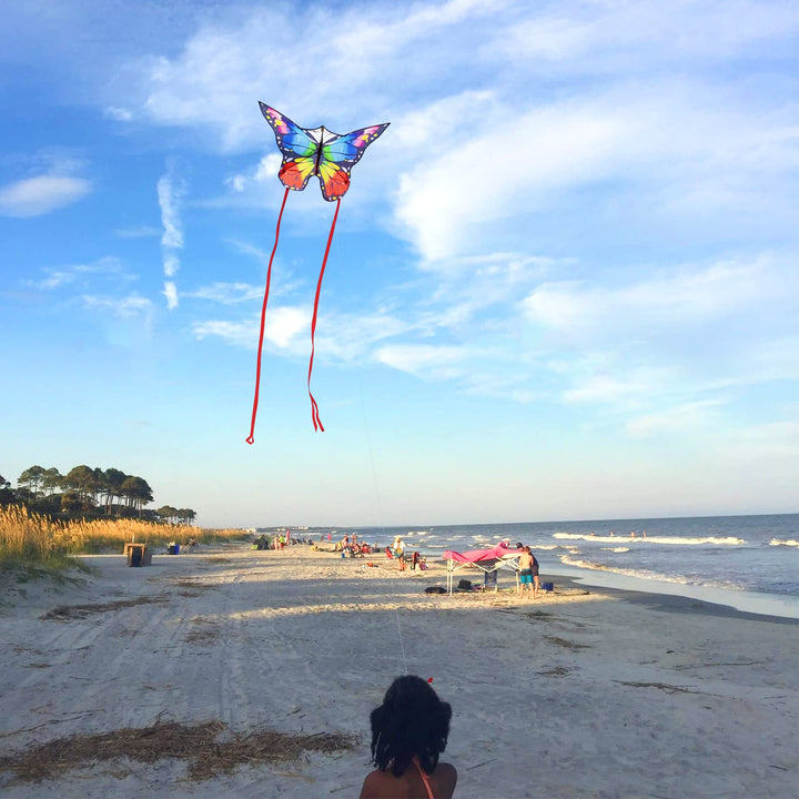 Kaiciuss Butterfly Kite, Large, Single Line