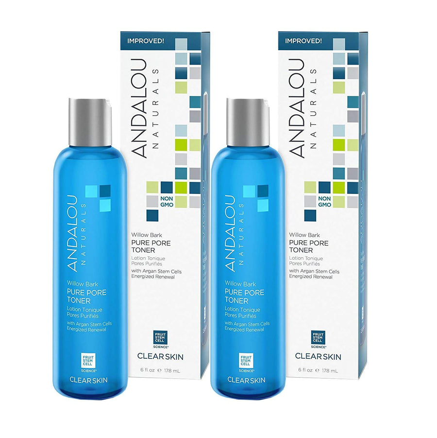 Andalou Naturals Pore Minimizer, Aloe + Willow