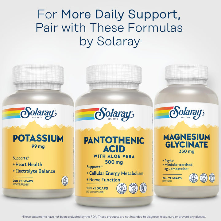 SOLARAY Pantothenic Acid, 500 mg, 100 Count