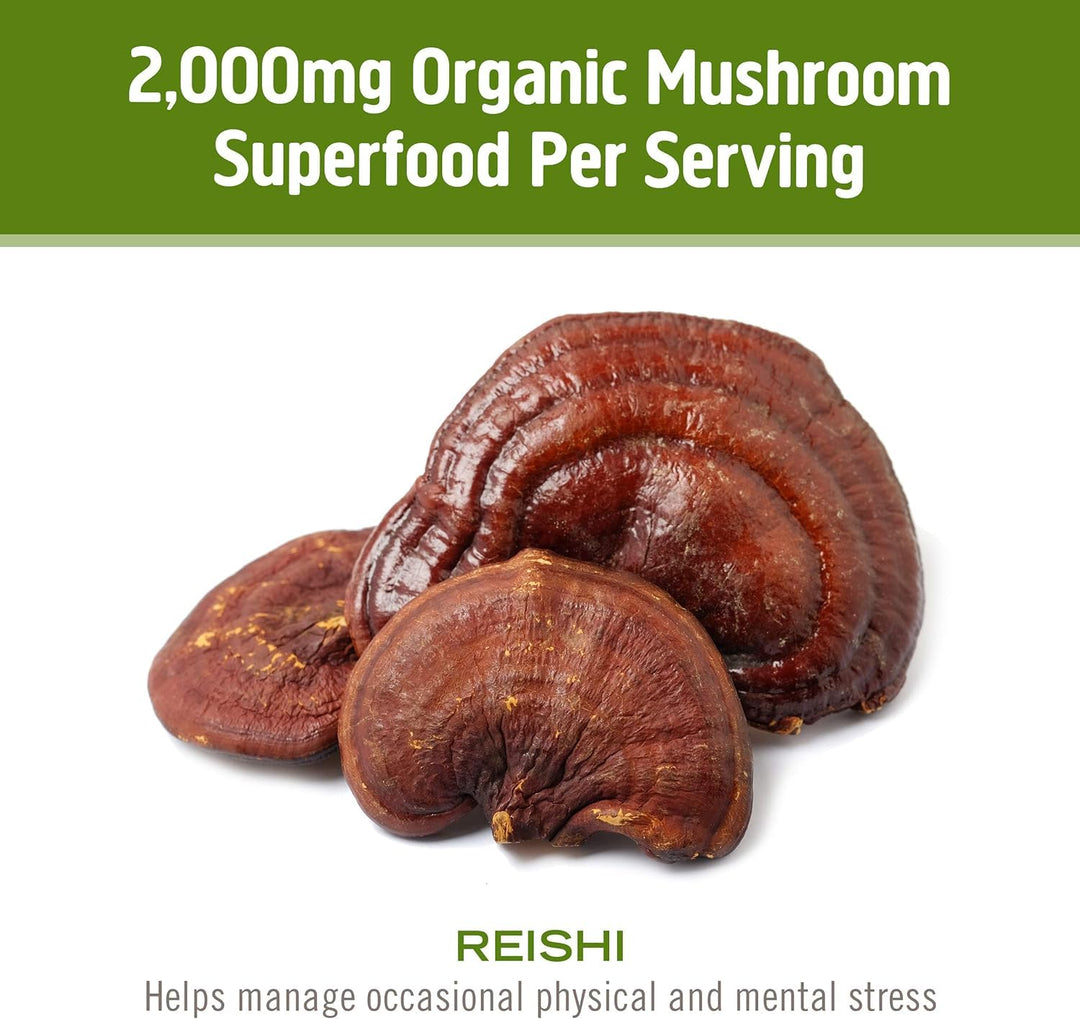 OM Mushroom Superfood Reishi Organic Mushroom Powder, 3.5 oz