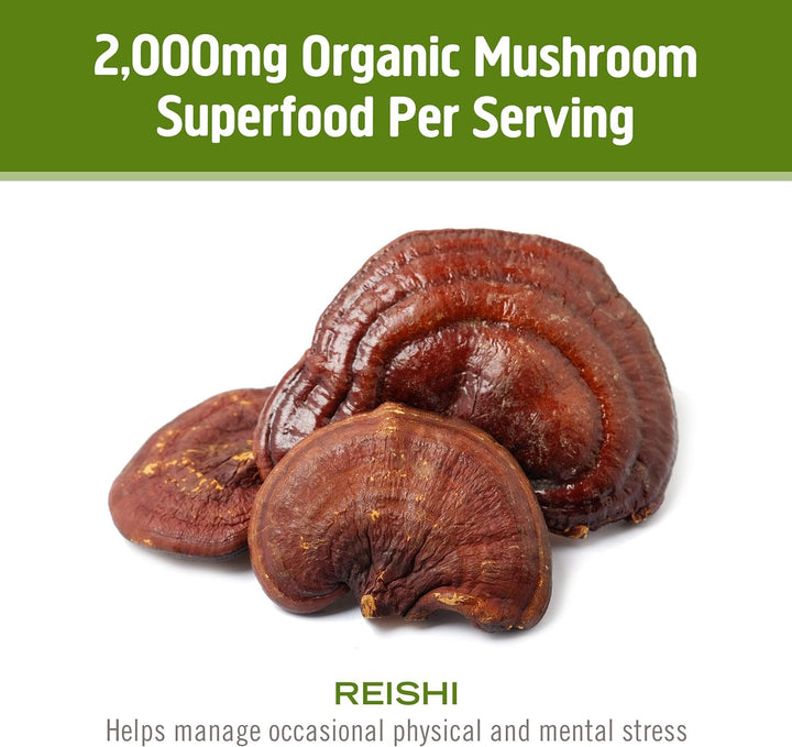 OM Mushroom Superfood Reishi Organic Mushroom Powder, 3.5 oz